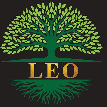 Leo Homestay ดิคเวลลา ภายนอก รูปภาพ