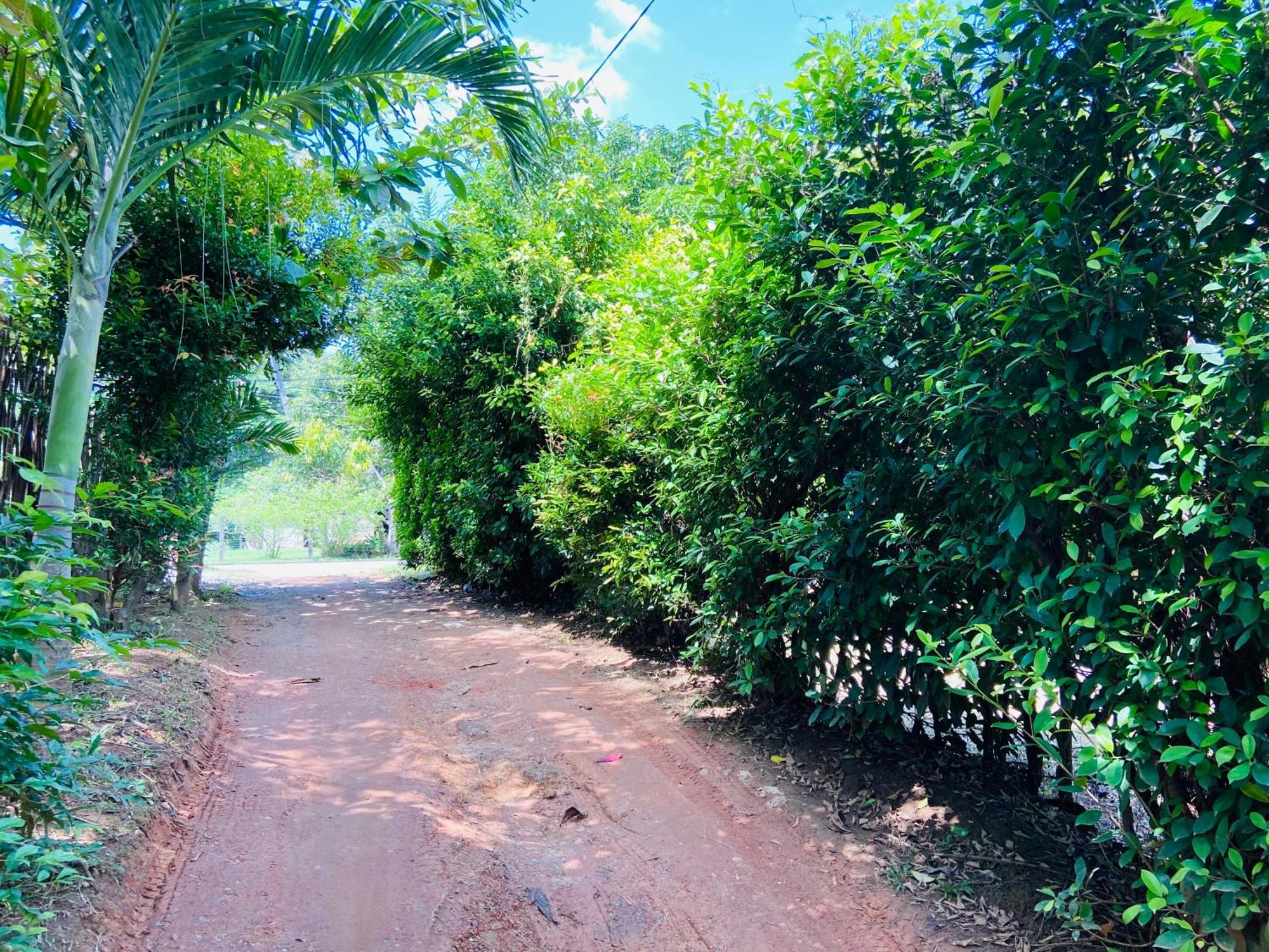 Leo Homestay ดิคเวลลา ภายนอก รูปภาพ