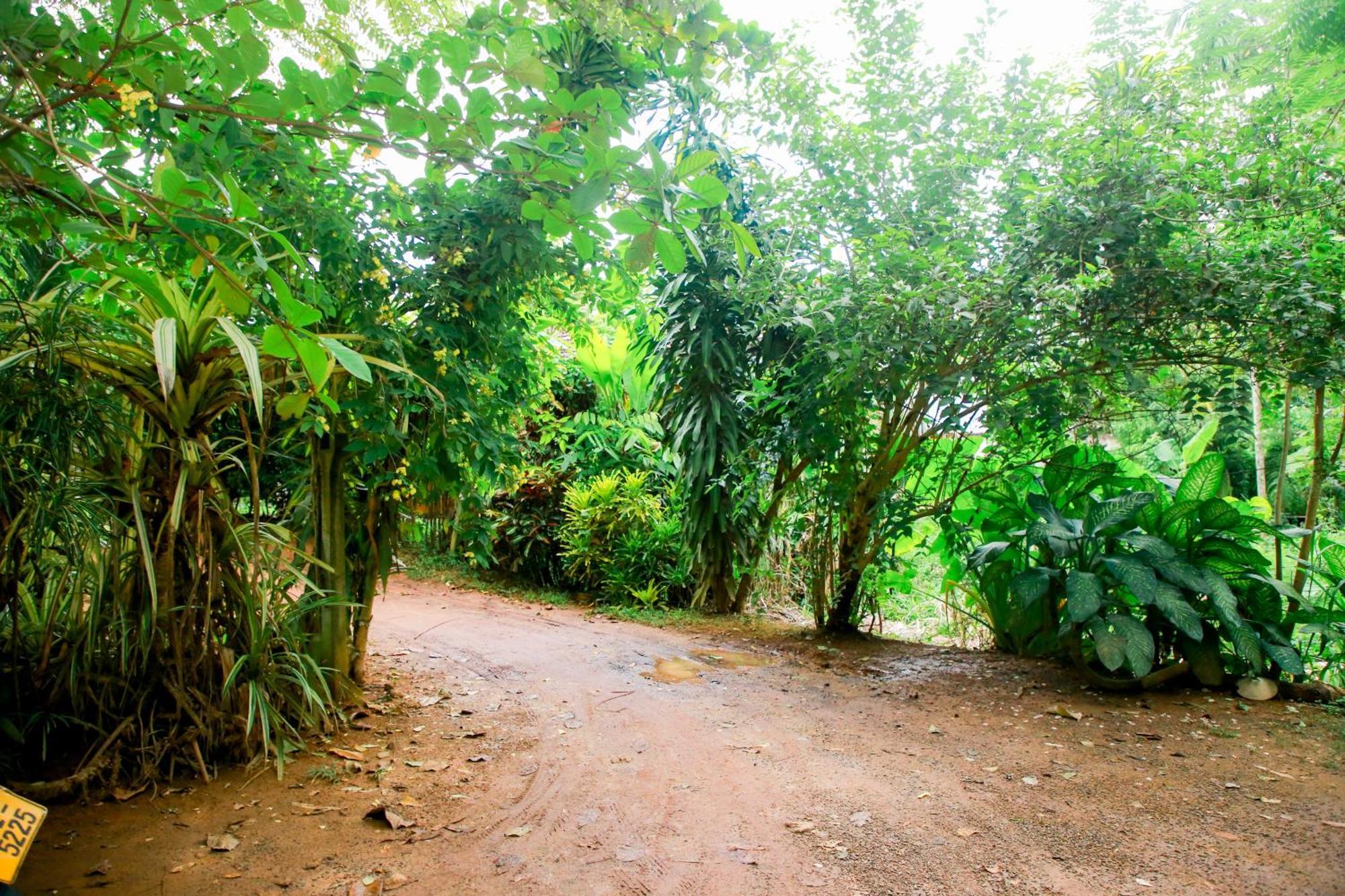 Leo Homestay ดิคเวลลา ภายนอก รูปภาพ