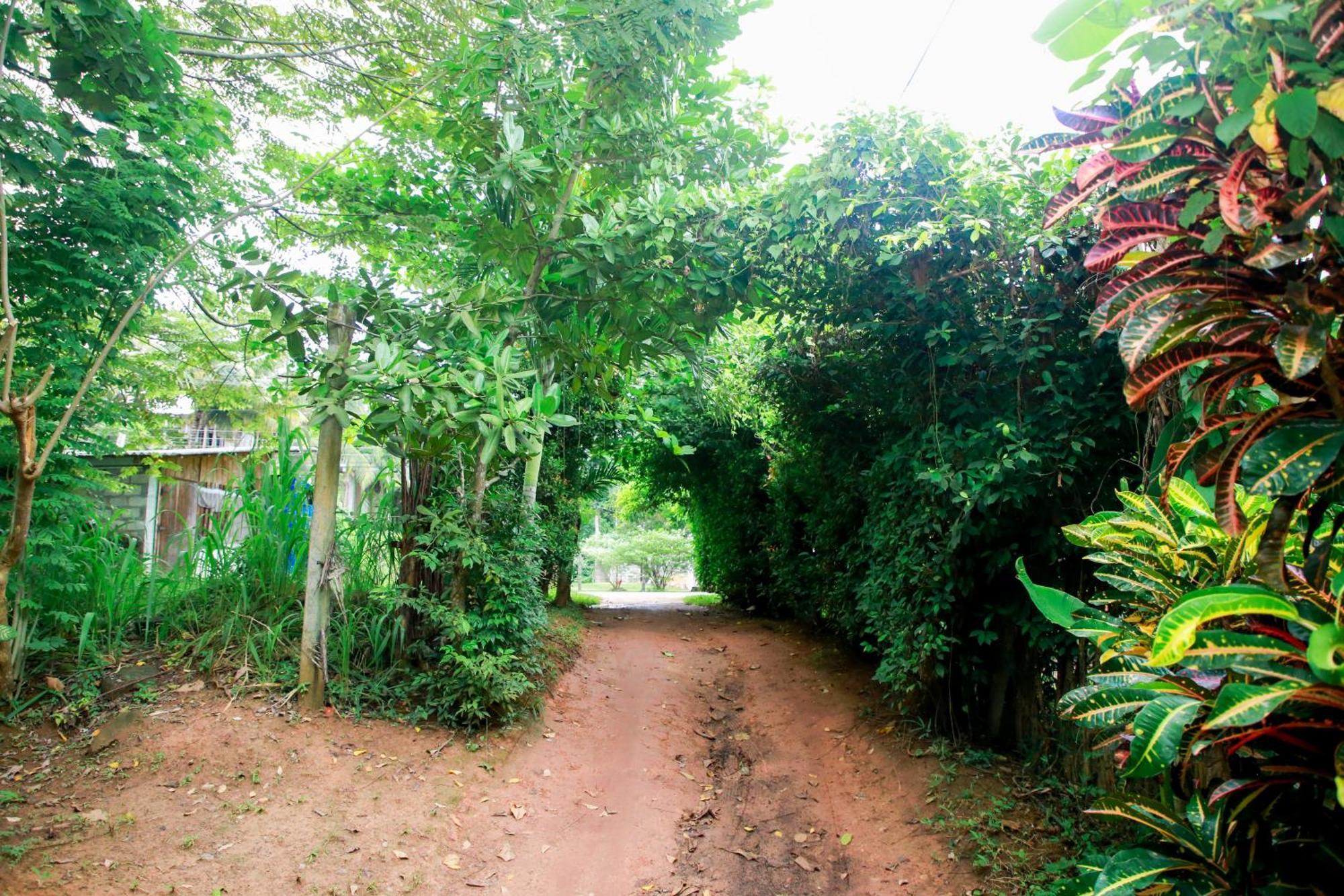 Leo Homestay ดิคเวลลา ภายนอก รูปภาพ