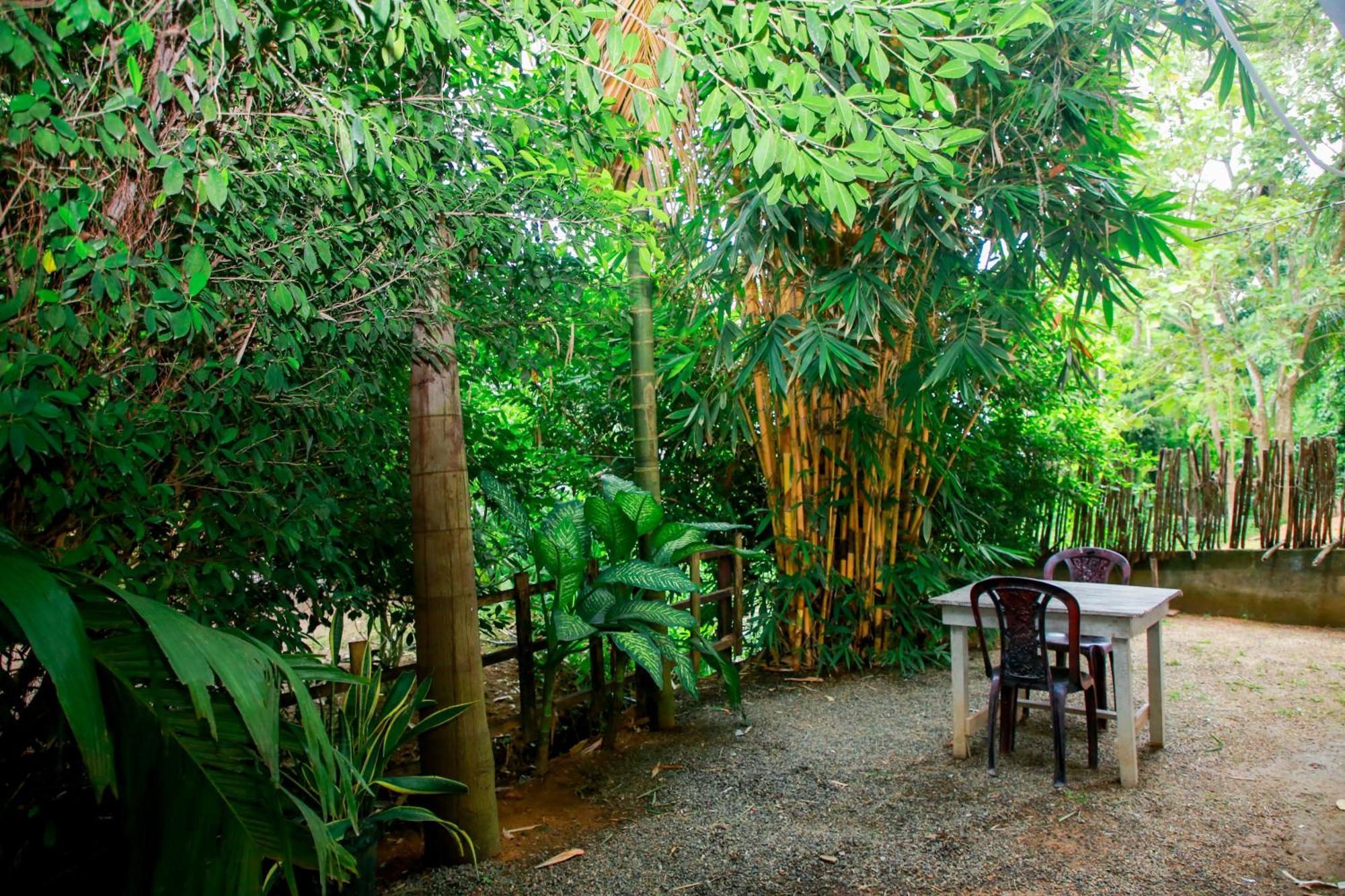 Leo Homestay ดิคเวลลา ภายนอก รูปภาพ