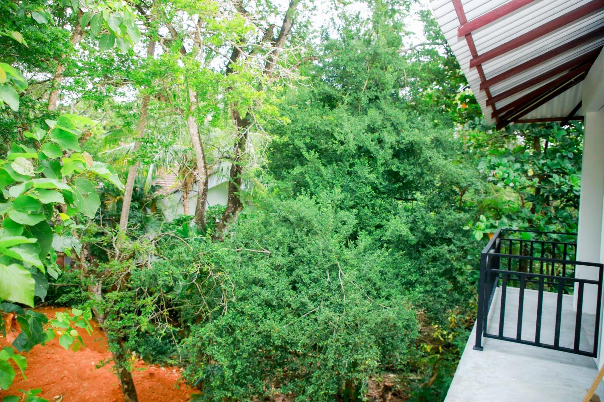 Leo Homestay ดิคเวลลา ภายนอก รูปภาพ